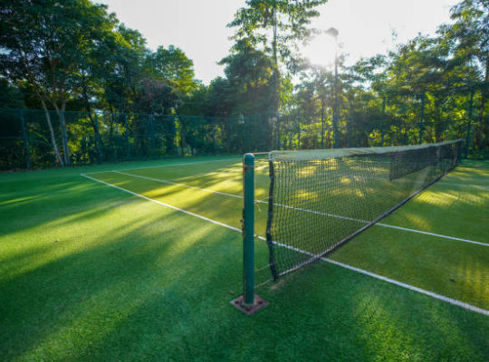 Entretien court de tennis en Gazon synthétique Dijon