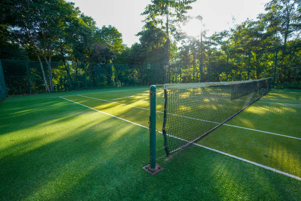 Entretien court de tennis en Gazon synthétique Dijon
